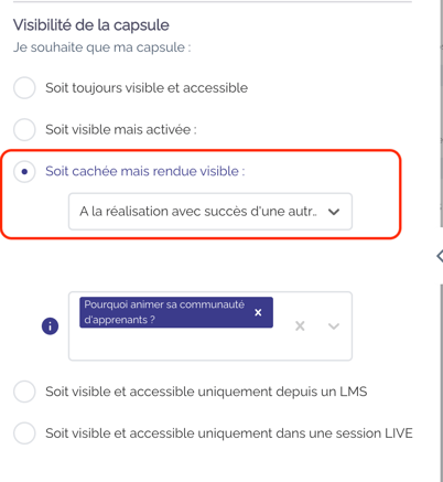 Cachée mais rendue visible réussite capsule